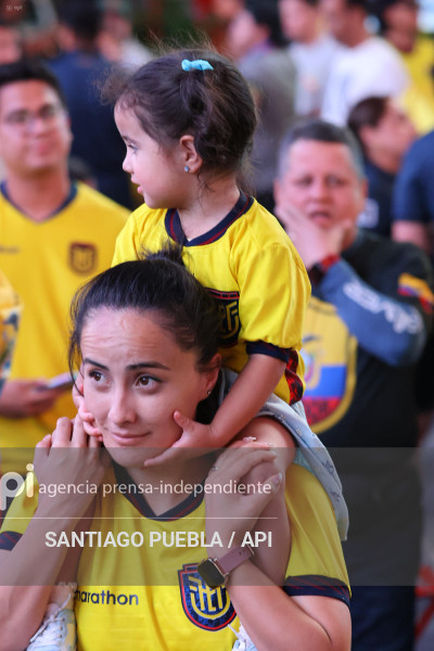 BANDERAZO ECUATORIANO EN MANHATTAN EEUU