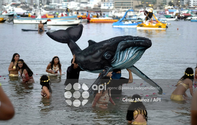 STA-TEMPORADA BALLENAS