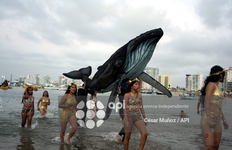 STA-TEMPORADA BALLENAS