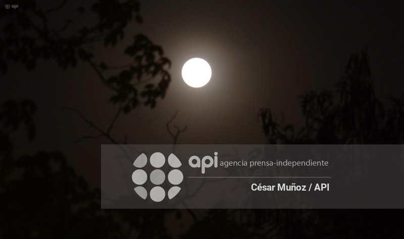 GYE-LUNA DE FRESA