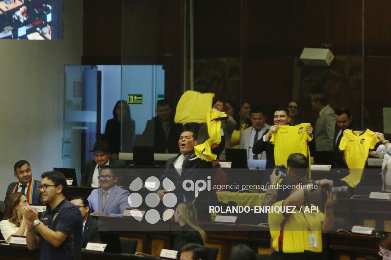 PLENO ASAMBLEA CAMISETAS ECUADOR