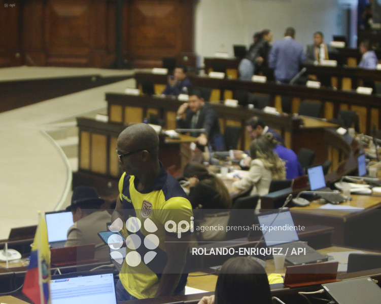 PLENO ASAMBLEA CAMISETAS ECUADOR