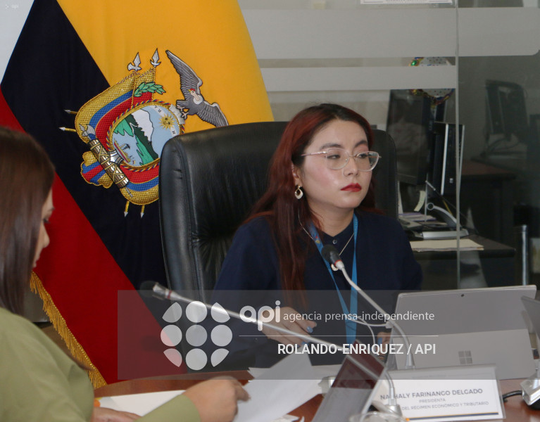 COMISION ECONOMICO