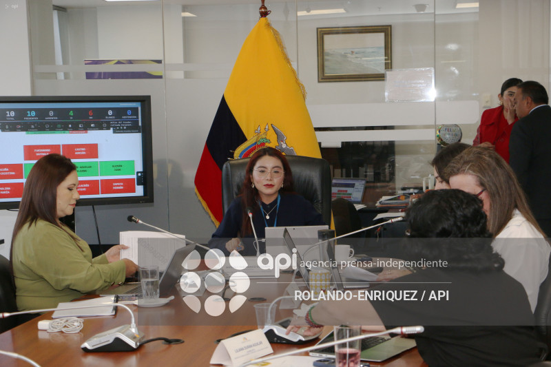 COMISION ECONOMICO