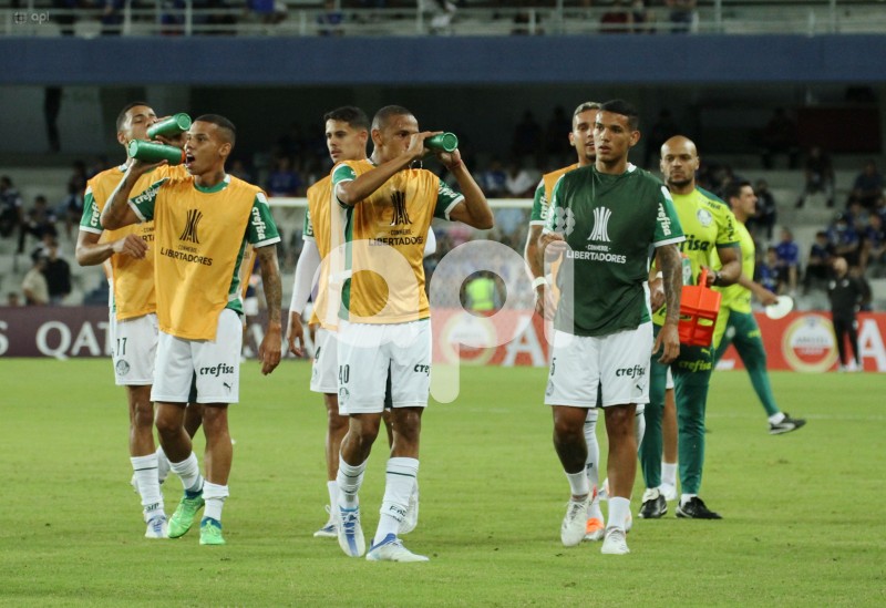 GYE-EMELEC-PALMEIRAS