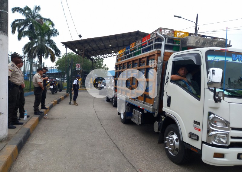 GYE-MERCADO VIVERES