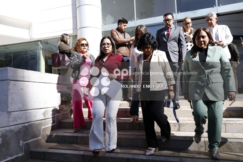 DEMANDA DE INCONSTITUCIONALIDAD A DECRETO DE CONTRATACION PUBLICA