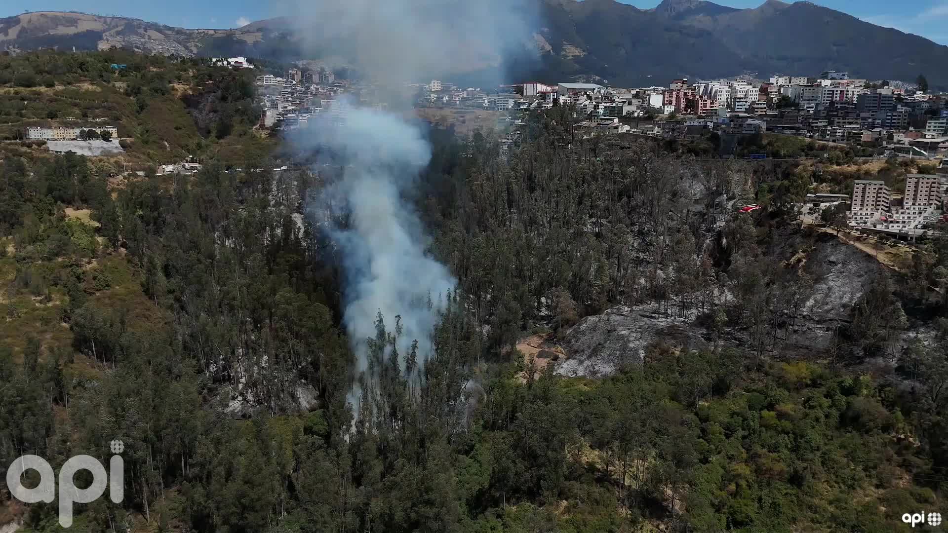 Incendio Vicentina