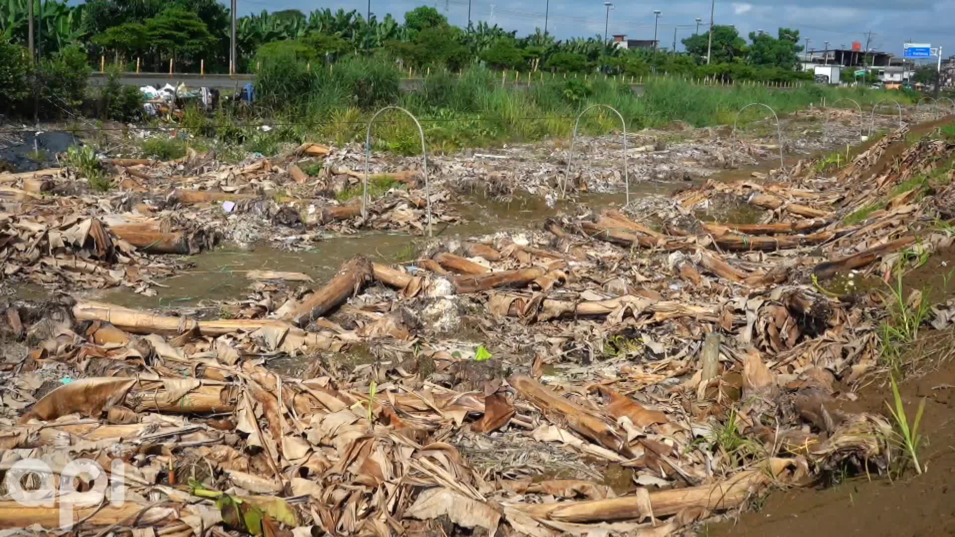 LRS-MOKO PLANTACIONES AFECTADAS (video)